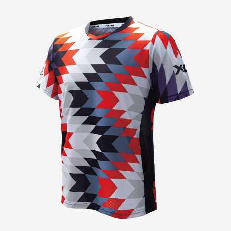 DRAGON RED (image for) DRAGON RED