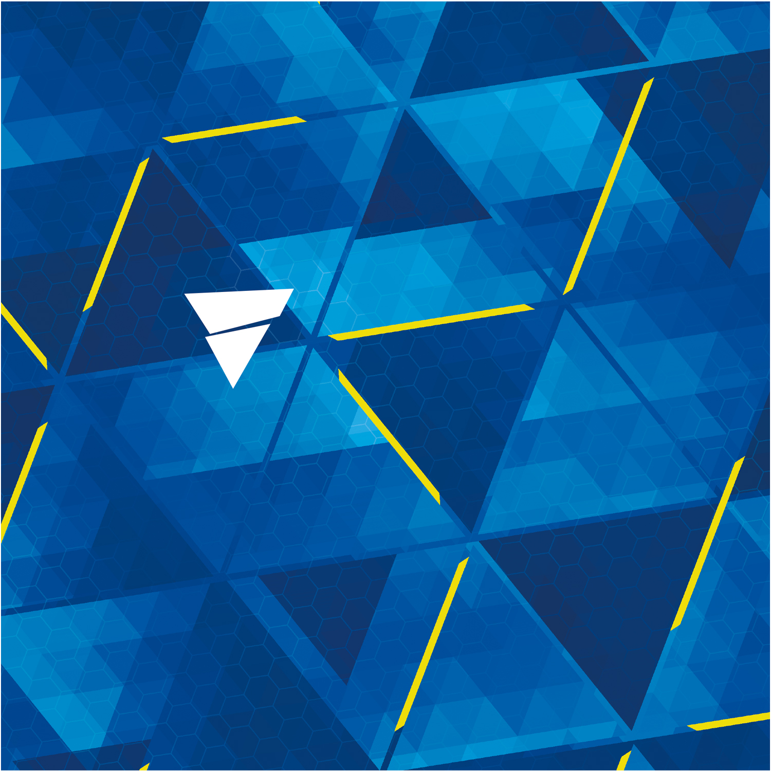 NGS 303 (image for) NGS 303