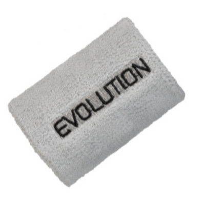 EVOLUTION WRIST BAND (image for) EVOLUTION WRIST BAND