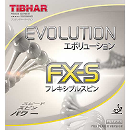 EVOLUTION FX-S (image for) EVOLUTION FX-S